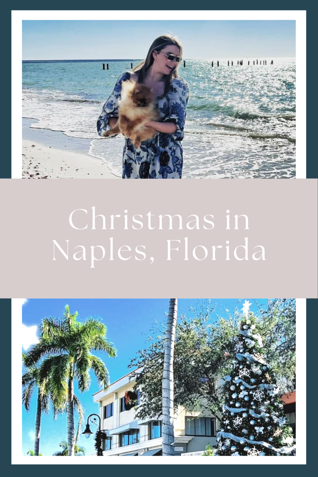 Christmas in Naples, Florida My Next Pin