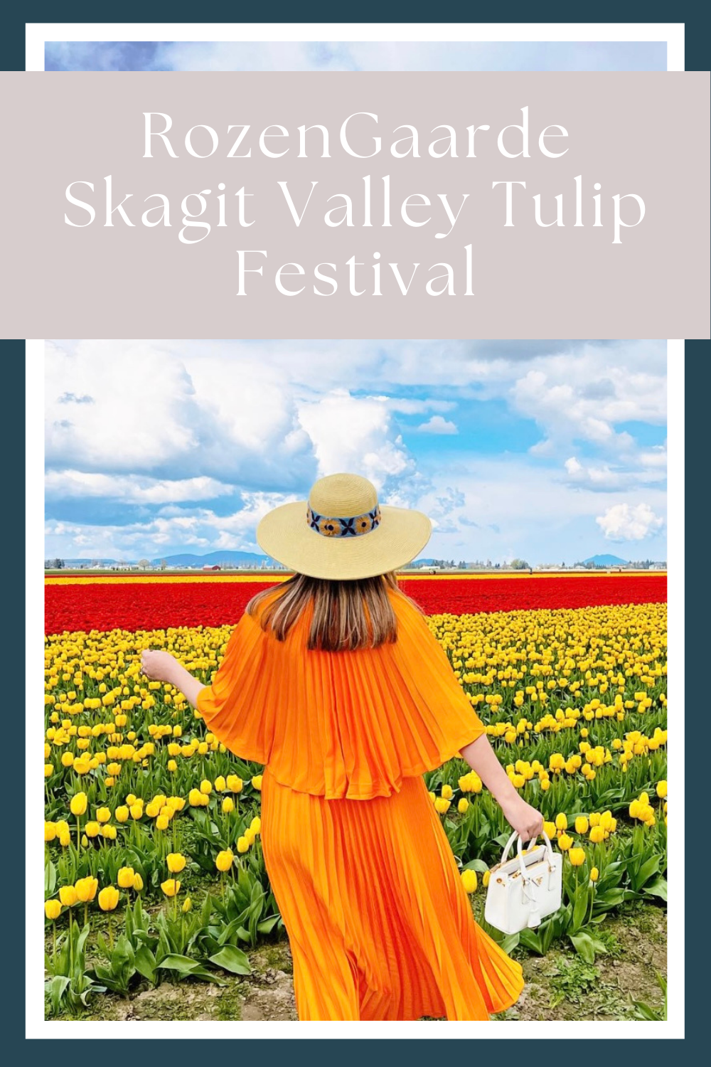 skagit tulip festival