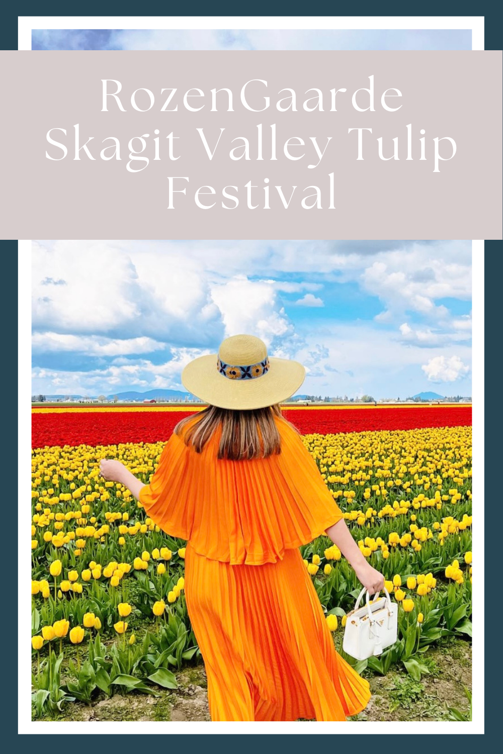 are dogs allowed at skagit tulip festival