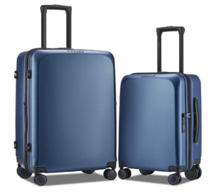 travelers choice luggage