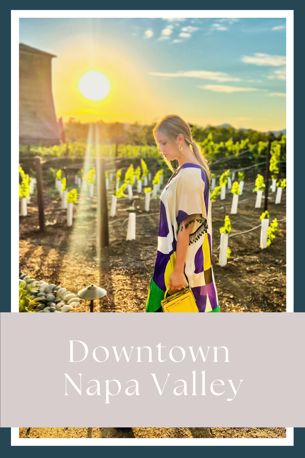 downtown Napa valley by My Next Pin