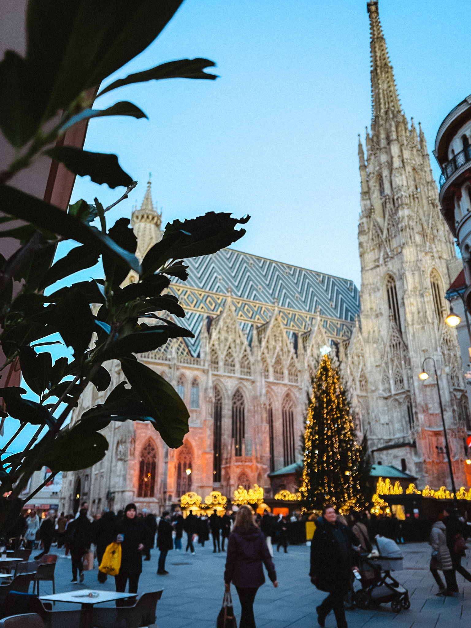 Best Christmas Markets in Vienna